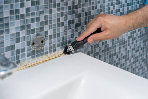 Best Preventive Mold Services in Concord, NH