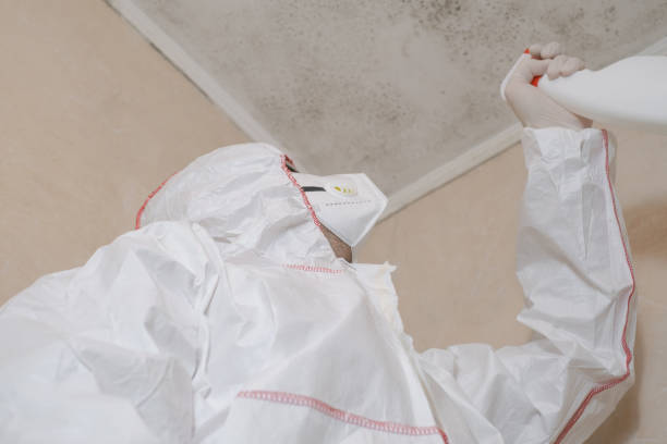 Best Mold Testing and Inspection Services in Concord, NH