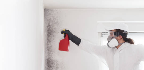 Best Bathroom Mold Remediation in Concord, NH