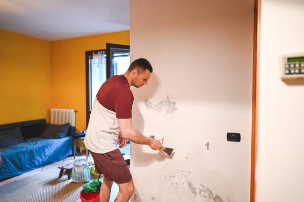 Best Kitchen Mold Remediation in Concord, NH
